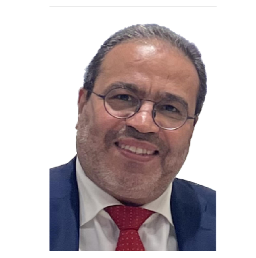 Prof. Anasse Bouhlal